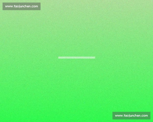 天津权健迎战贵州智诚联赛关键对决看点走势与战术前瞻全面解析