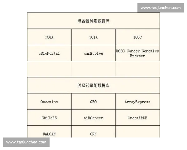 以VS标准值为核心的性能对比分析与优化评估研究方法与应用实践探索
