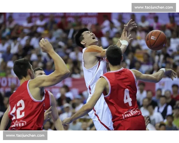 斯坦科维奇杯2017德国对阵克罗地亚经典较量回顾战术博弈与激情之夜