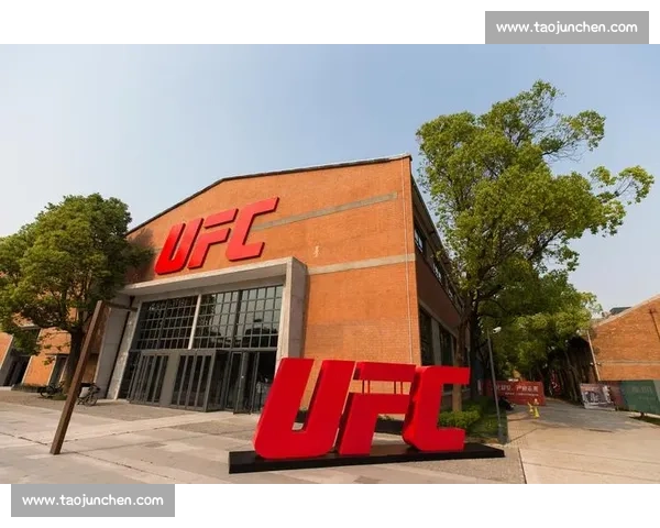 张礼仪硬撼泰拳王巅峰对决中国力量直面世界格斗舞台荣耀之战前夜